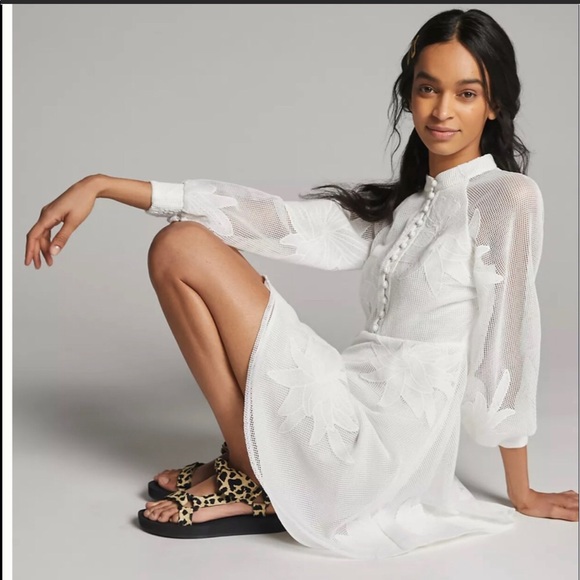 Anthropologie Dresses & Skirts - Women’s Anthropologie Sabine Embroidered Mini Dress. 2X. White. NWT